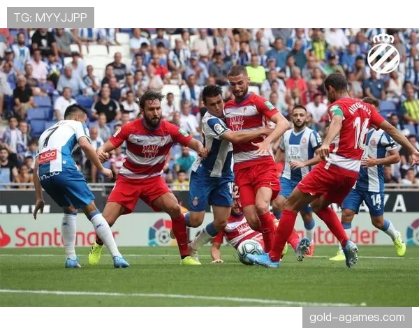 切尔西轮换频繁影响默契，多线作战压力下球队稳定性面临考验
