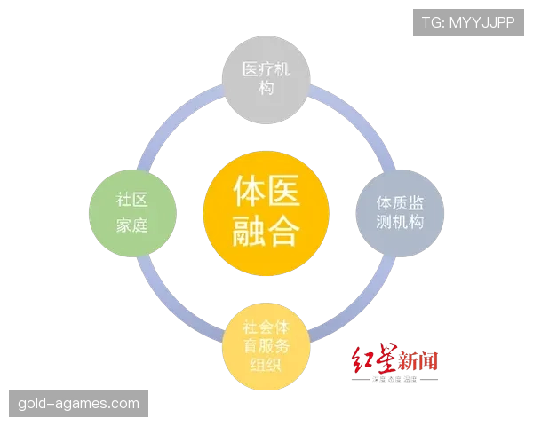 莱奥的上限为何：技术与效率的结合程度如何体现